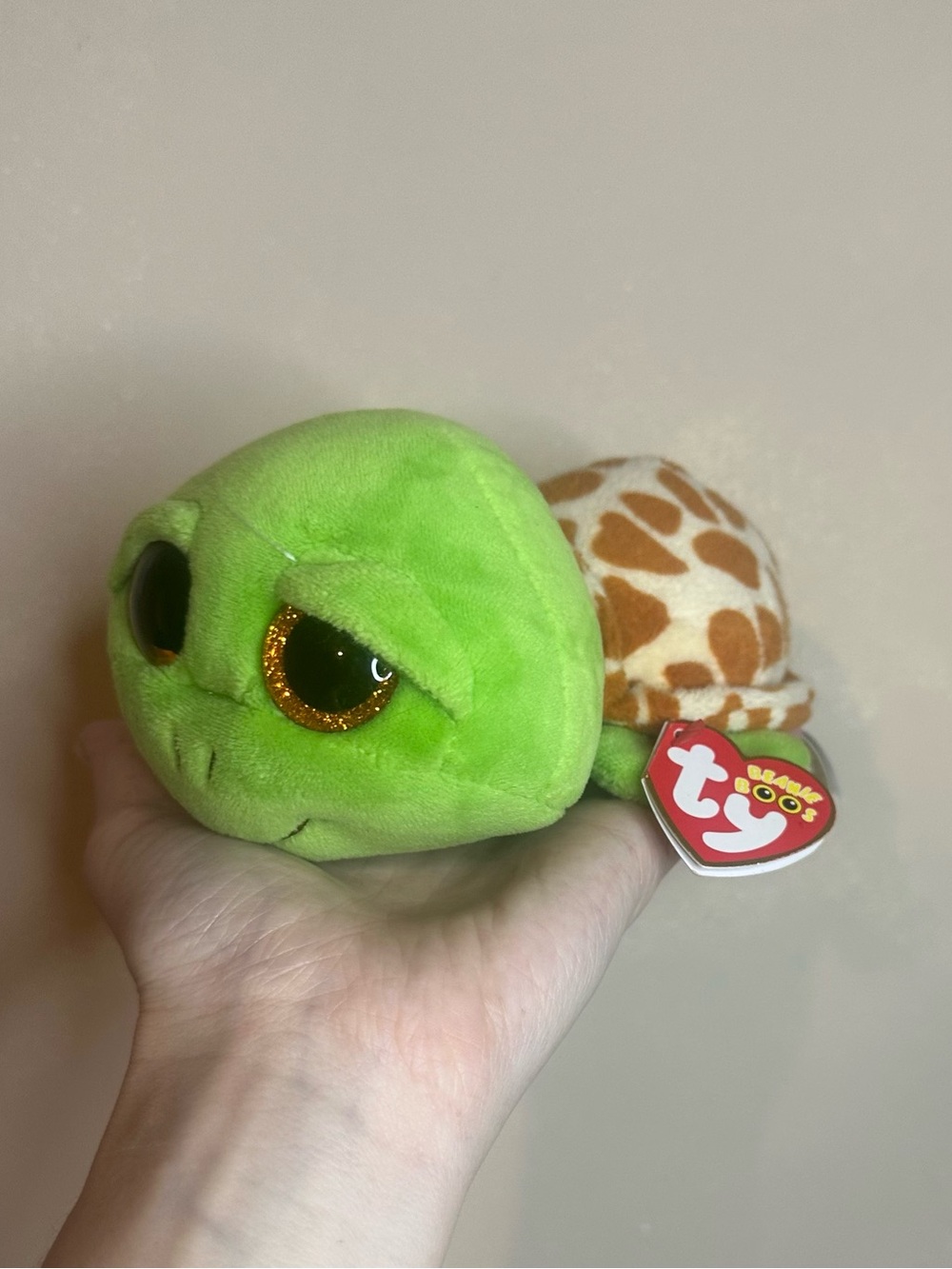 Ty Beanie Boo Turtle - zippy